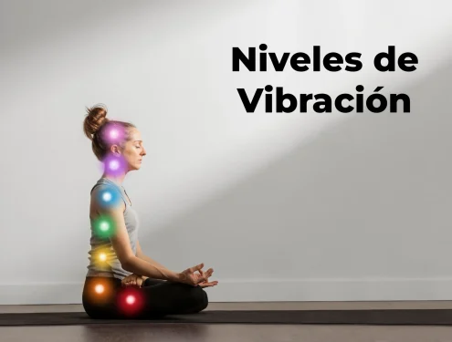 niveles de vibración